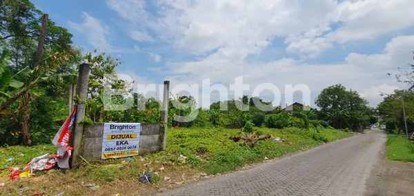 image TANAH HUNIAN DI KAWASAN PERUMAHAN TLOGOSARI DAN GRAHA MUKTI PEDURUNGAN (3)