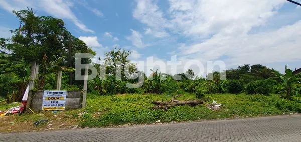 image TANAH HUNIAN DI KAWASAN PERUMAHAN TLOGOSARI DAN GRAHA MUKTI PEDURUNGAN (2)