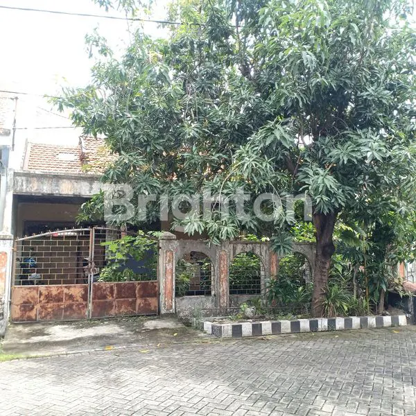 image RUNGKUT ASRI TIMUR  (1)