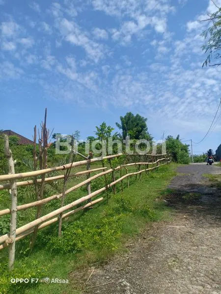 image LAHAN DI KAWASAN WISATA PANTAI PANDAWA (5)