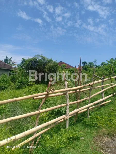 image LAHAN DI KAWASAN WISATA PANTAI PANDAWA (2)