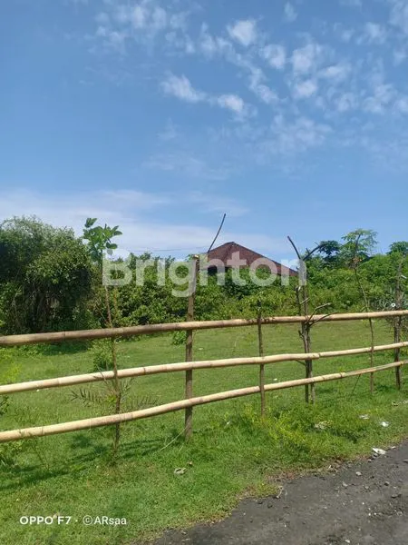 image LAHAN DI KAWASAN WISATA PANTAI PANDAWA (4)