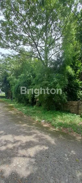 image TANAH TERMINAL KARYA JAYA (5)