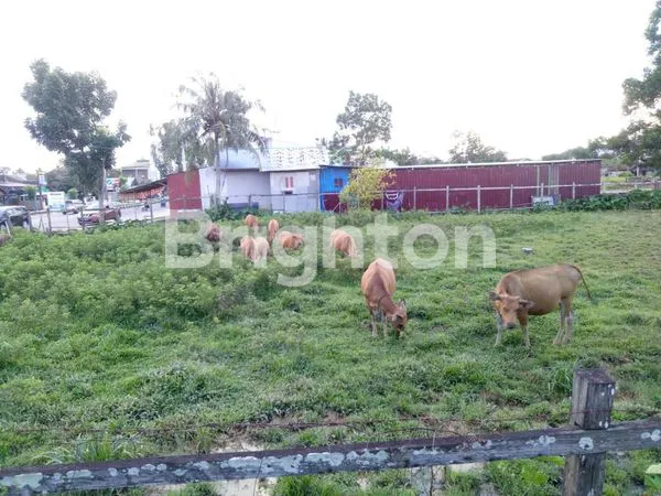 image DISEWAKAN TANAH JL GATOT SUBROTO BERAU (3)