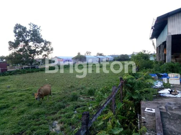 image DISEWAKAN TANAH JL GATOT SUBROTO BERAU (2)