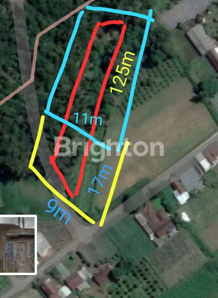 TANAH KEBUN DI DATARAN TINGGI