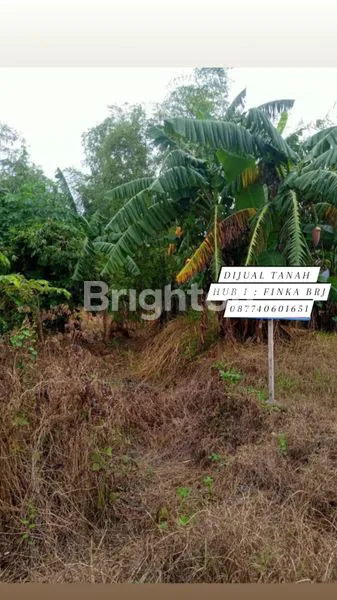 Gambar Property DIJUAL TANAH DI WRINGIN ANOM