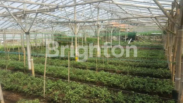 image HARGA MENARIK LOKASI STRATEGIS (8)