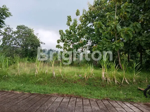 image TANAH MURAH HARGA NEGO SERIRIT BULELENG (3)