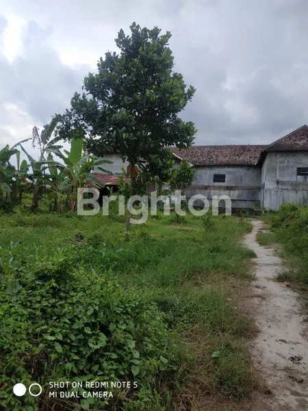 image LAHAN COCOK UNTUK GUDANG  (8)