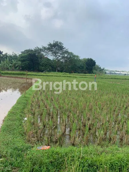 image TANAH DI LEGOK (1)