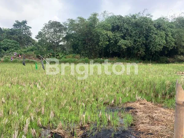 image TANAH DI LEGOK (2)