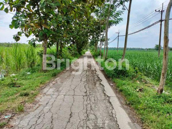 JUAL TANAH DI KOTA JOMBANG LOKASI STRATEGIS