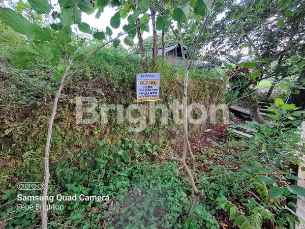 image TANAH HOOK DI PUNCAK TIDAR MALANG (12)