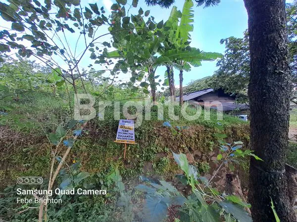 image TANAH HOOK DI PUNCAK TIDAR MALANG (10)