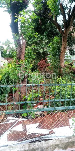 image SEBIDANG TANAH KOSONG (3)