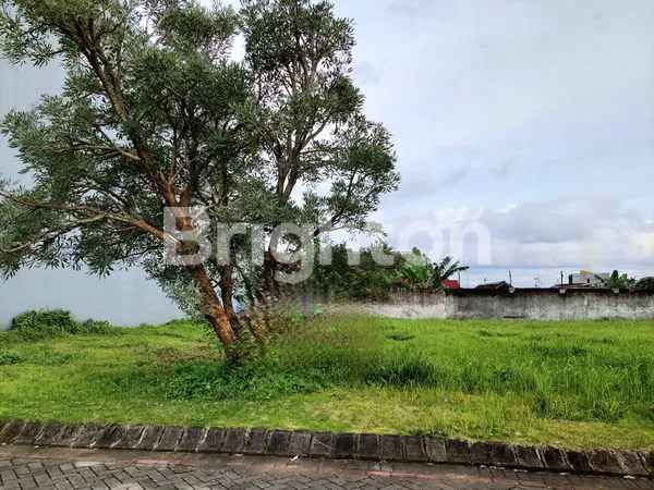 image TANAH KAVLING LUAS  DIENG MALANG (1)