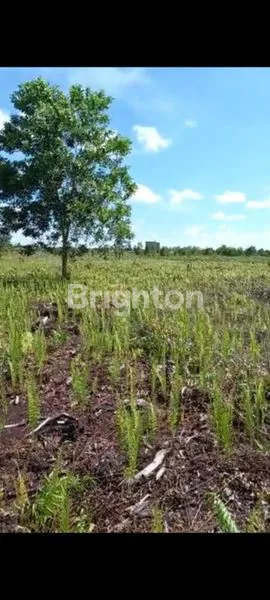 TANAH DI LOKASI STRATEGIS COCOK UNTUK PERGUDANGAN, PABRIK, PERUMAHAN DAN PERKEBUNAN