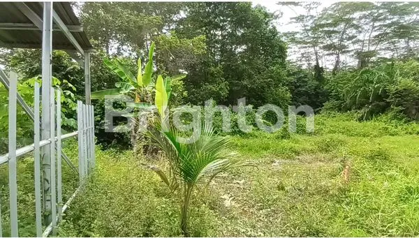 image TANAH LUAS 7035M2 STRATEGIS DEKAT HOTEL SANTIKA & BANDARA SMB II (4)