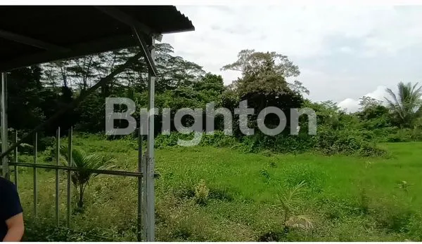 image TANAH LUAS 7035M2 STRATEGIS DEKAT HOTEL SANTIKA & BANDARA SMB II (1)