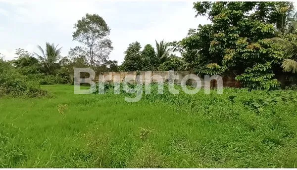 image TANAH LUAS 7035M2 STRATEGIS DEKAT HOTEL SANTIKA & BANDARA SMB II (3)