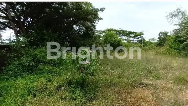 image LOKASI HOOK SIMPANG 4 PINGGIR JALAN AS (4)