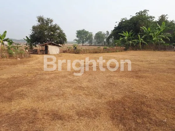 DI JUAL TANAH SERANG BRAU