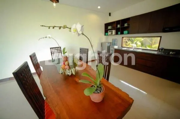 image VILLA LUAS MEWAH DAN FULL FURNISHED DI CANGGU BALI (6)