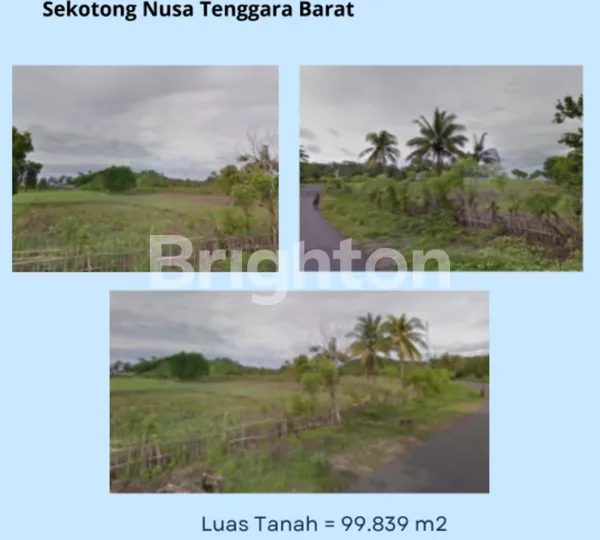 image TANAH PULAU LOMBOK NUSA TENGGARA BARAT (1)