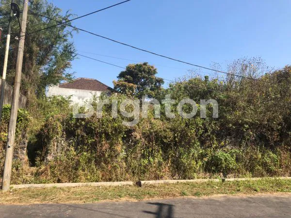 image TANAH KAVLING BUKIT DIENG (1)