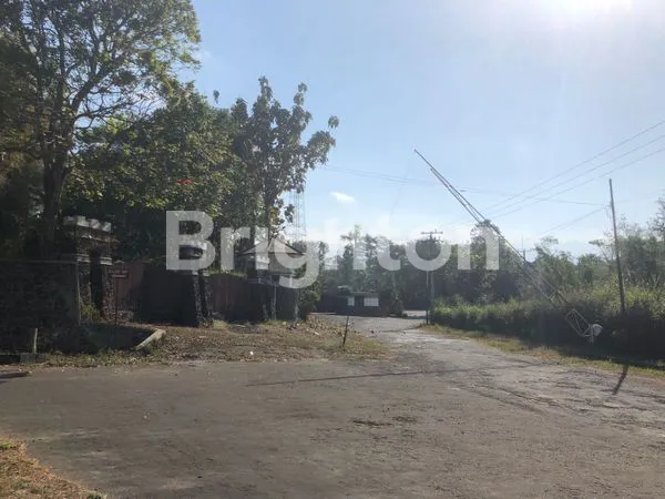 image TANAH KAVLING BUKIT DIENG (3)