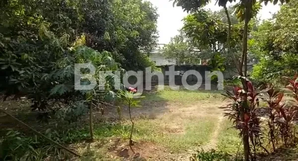 image SEBIDANG TANAH YANG SUPER STRATEGIS & MURAH DI JALAN ALTERNATIF CIBUBUR (3)