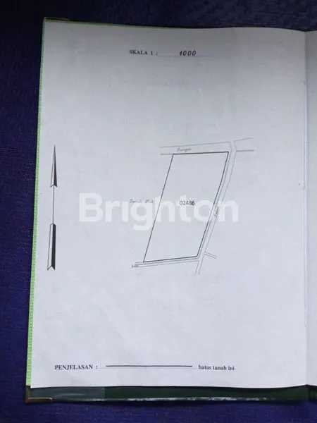 TANAH STRATEGIS LUAS JUAL CEPAT MURAH. DI KEDUNGRINGIN MUNCAR BANYUWANGI. COCOK U PABRIK,GUDANG