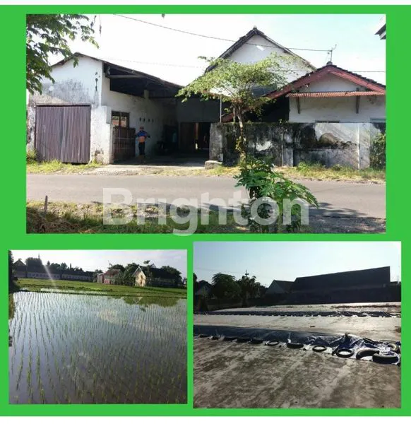 image PABRIK PENGGILINGAN PADI DI BANYUWANGI (1)