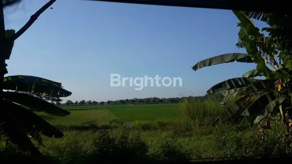 TANAH COMMERCIAL AREA DI PUCUK LAMONGAN