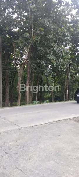 TANAH LUAS DI GUBUG GROBOGAN PURWODADI