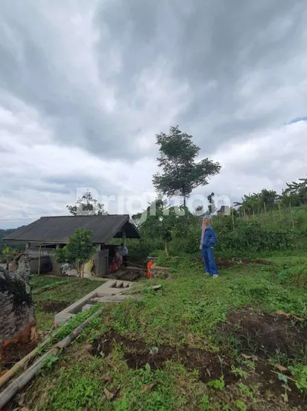 image TANAH LUAS BELAKANG CAFE SUNDUL LANGIT DS BUMIAJI KOTA BATU (1)