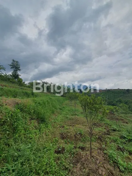 image TANAH LUAS BELAKANG CAFE SUNDUL LANGIT DS BUMIAJI KOTA BATU (2)