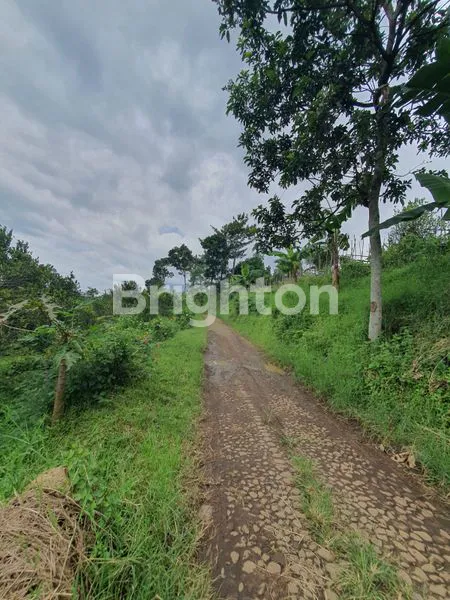 image TANAH LUAS BELAKANG CAFE SUNDUL LANGIT DS BUMIAJI KOTA BATU (4)