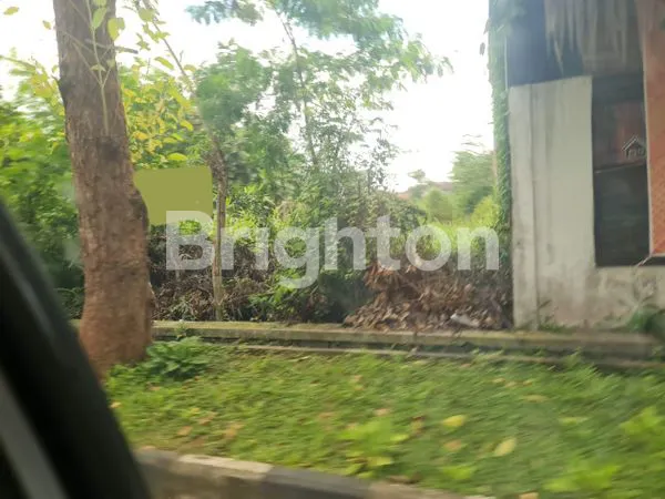 image TANAH MURAH DI SUMBER DENGAN VIEW SAWAH (1)