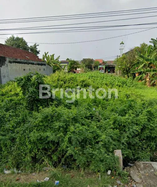 image TANAH 0 JALAN RAYA JERUK LAKARSANTRI STRATEGIS POOL (1)