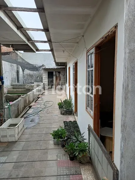 image RUMAH KEDURUS (2)