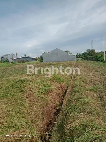 TANAH TANJUNG BUNGA DEKAT DIAN HARAPAN