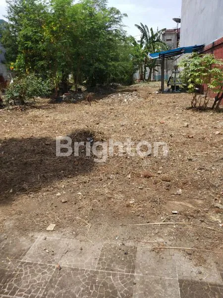 image TANAH DI TOMANG (3)