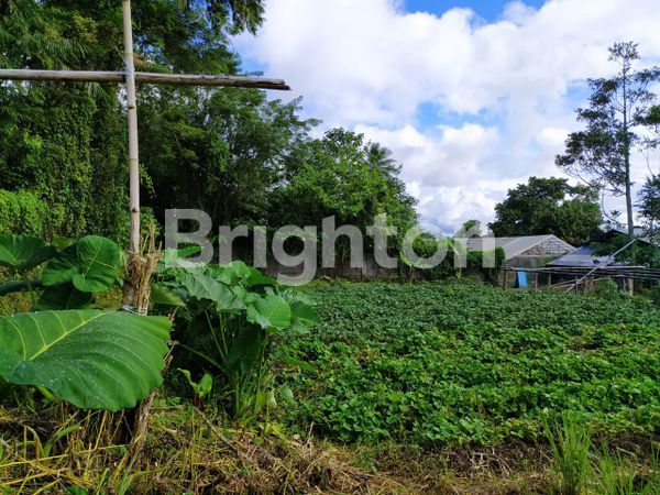 image KAVLING SIAP BANGUN TOMOHON LINGKUNGAN NYAMAN, LOKASI STRATEGIS (1)