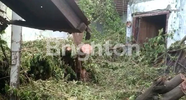 image RUMAH HITUNG TANAH (3)