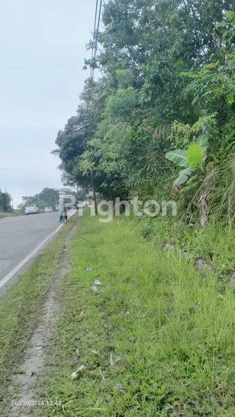 TANAH DIJUAL DIPINGGIR JALAN UTAMA BPP - IKN /BPP- SMD