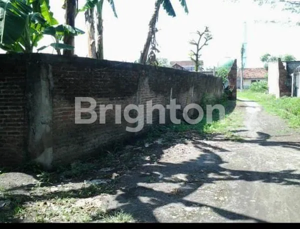 image TANAH / KAVLING LUAS SIAP BANGUN (3)