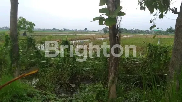 image TANAH COCOK UNTUK PABRIK DAN GUDANG DEKAT GERBANG TOL DRIYOREJO (2)