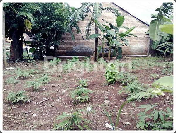 image TANAH PAS UNTUK USAHA (2)